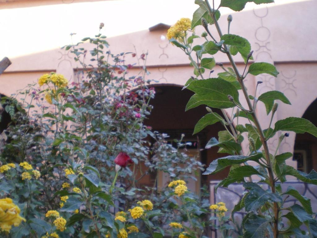Maison D' Hotes Ait Hmid เอ็นค็อบ ภายนอก รูปภาพ